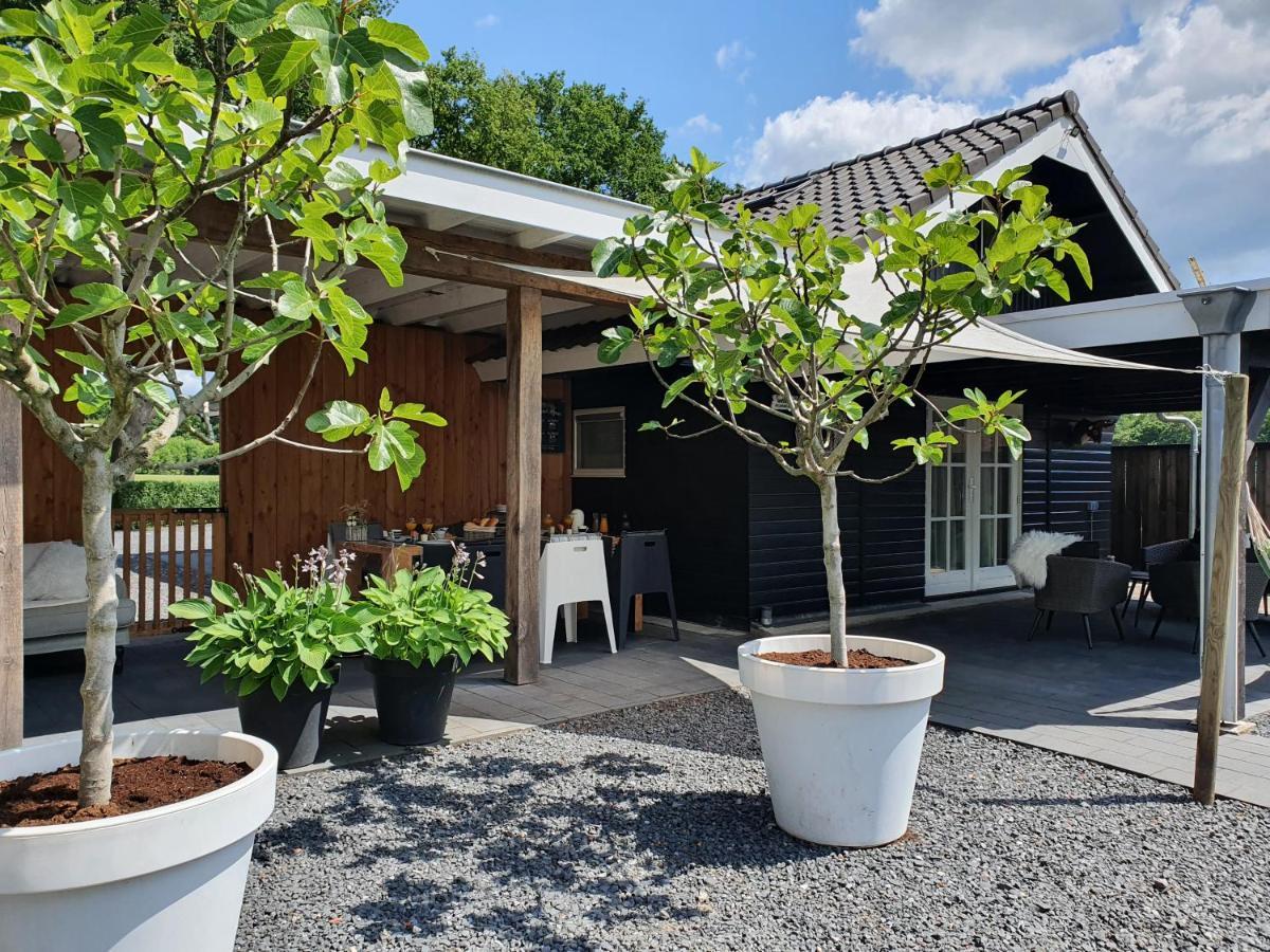 ווסטרבורק B&B Drenthe מראה חיצוני תמונה